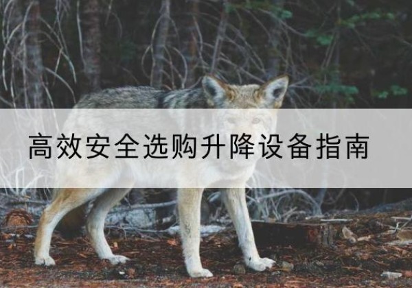 大英升降货梯厂家推荐-*安全选购升降设备指南