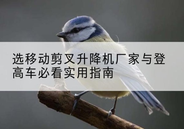 大英电动升降机厂家-选移动剪叉升降机厂家与登高车必看实用指南