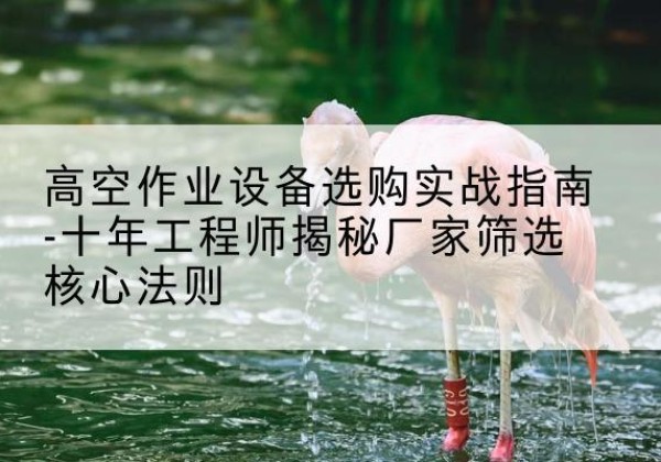 大英剪叉式升降机厂家-高空作业设备选购实战指南-十年工程师揭秘厂家筛选核心法则