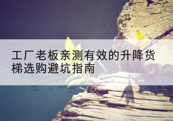 大英升降货梯怎么选-工厂老板亲测有效的升降货梯选购避坑指南